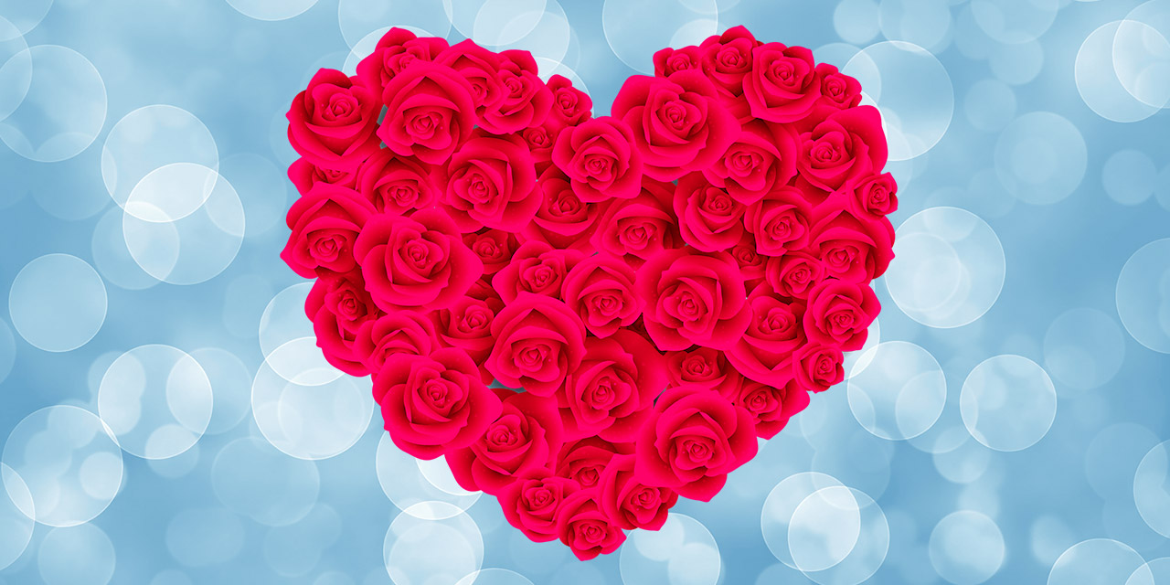 Gül Kokan Duygu: Aşk