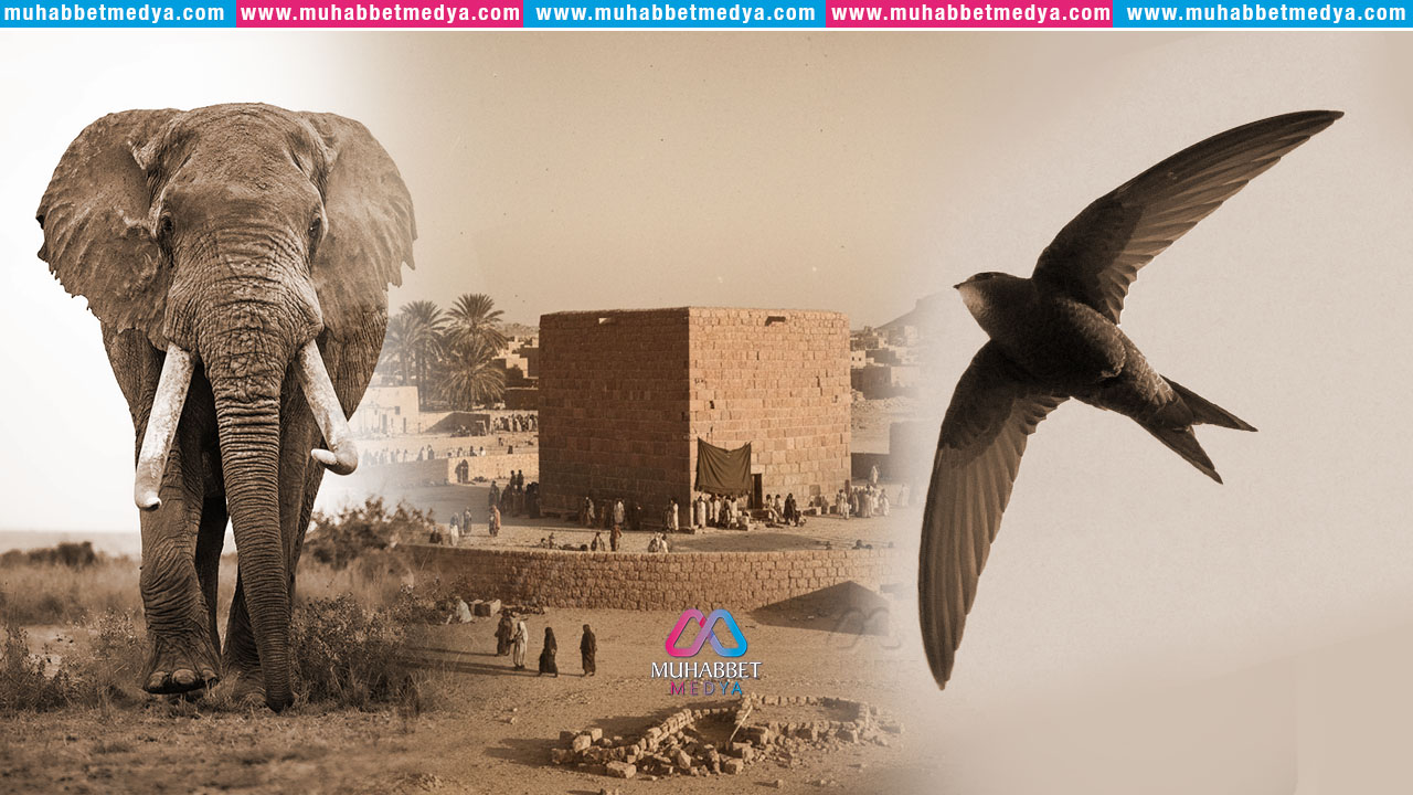 Fil mi Güçlü, İman mı? Zıtlıkların Diliyle Fil Vakası