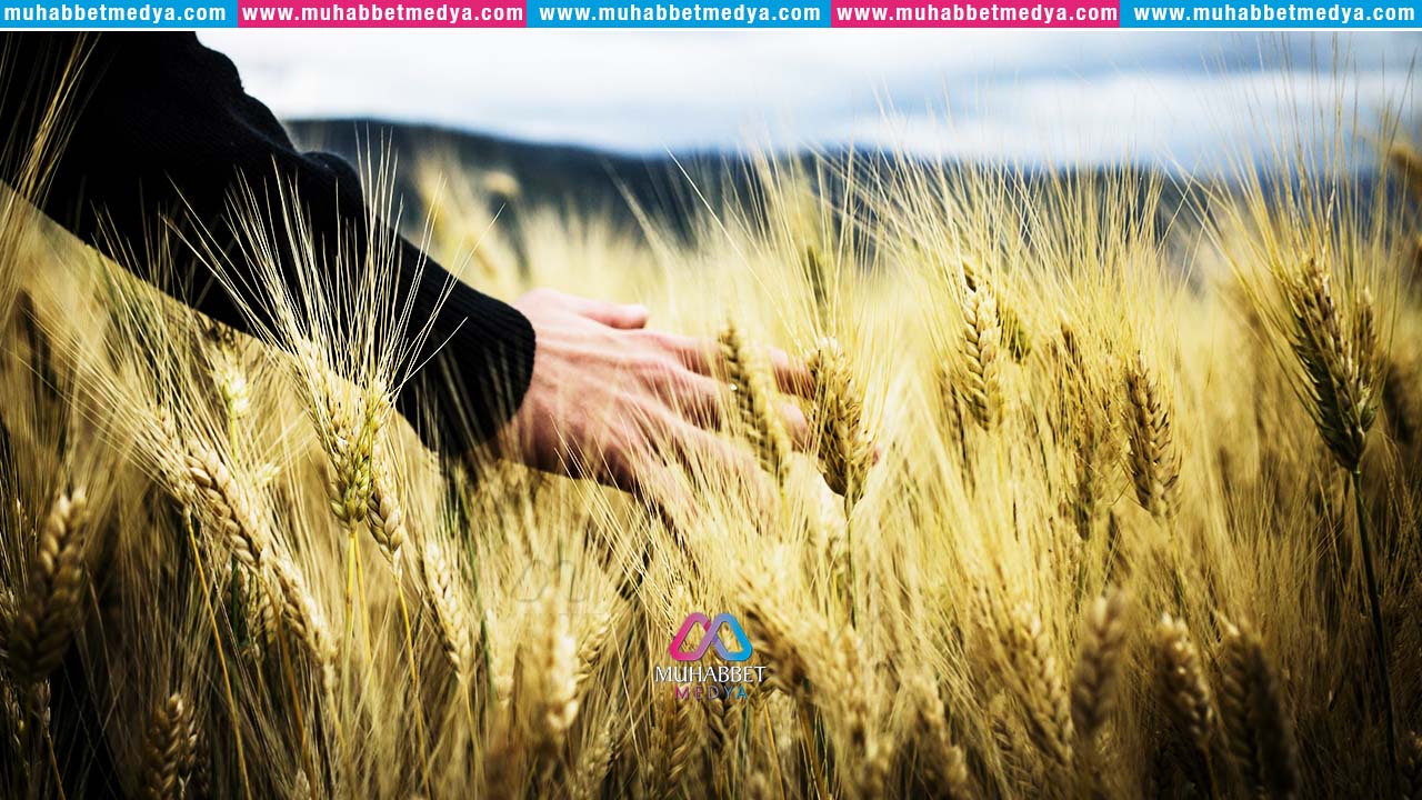 Dünya Hayatı İle İlgili En Güzel Anlatım