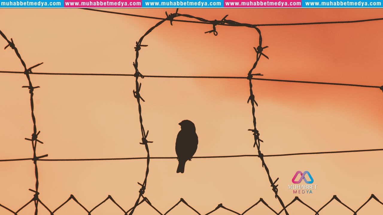 Zihinsel Engellerimiz