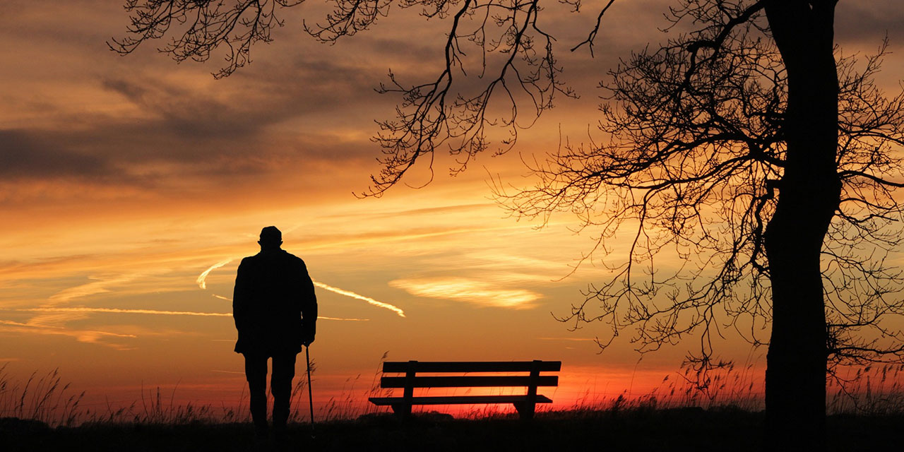 İnsan Yalnız Ölür