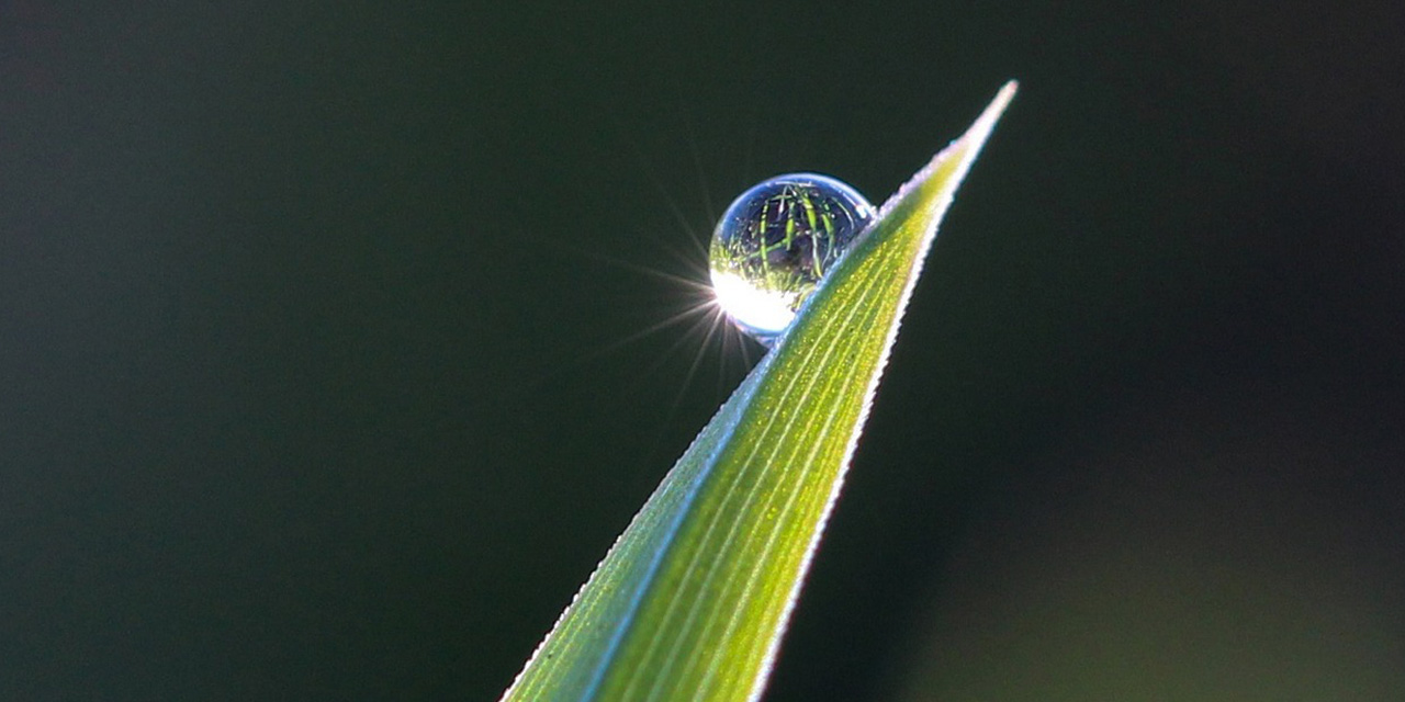 Güneş, Bulut Ve Şeb-Nem’in Yolculuk Macerası