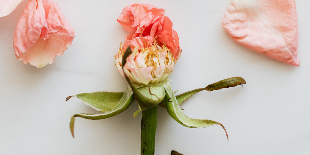 An be an "vakit girer…"