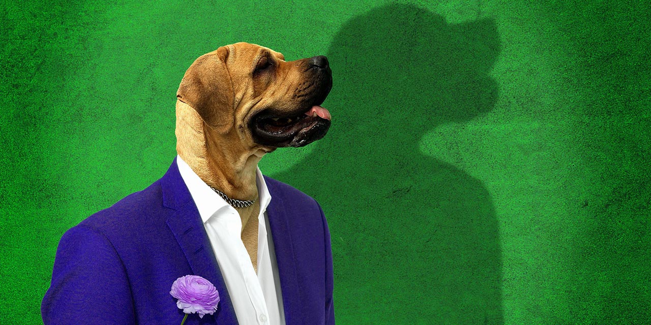 Hayvanları putlaştırmanın da alemi yok