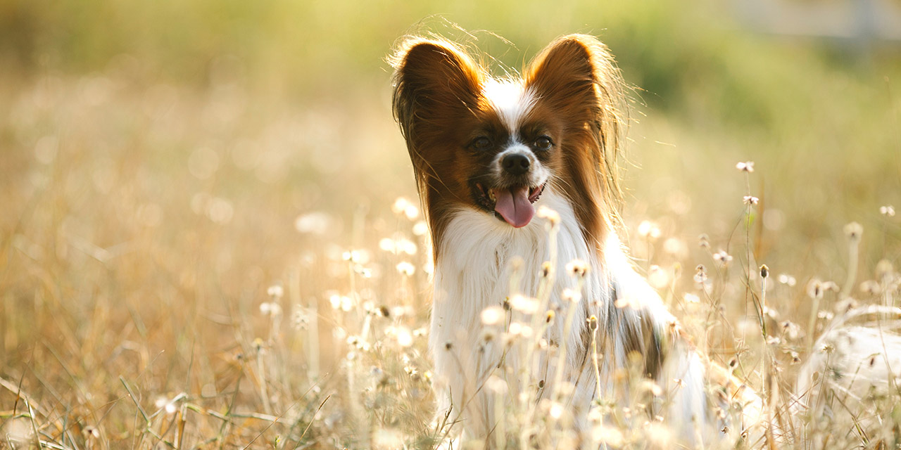 Çeri'nin mektubunda insanlığımı tekrar okuyarak cahilliğimi fark ettim