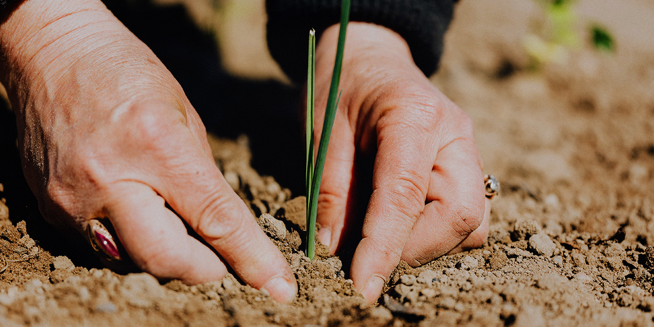Toprak Kıvamında Olmak...
