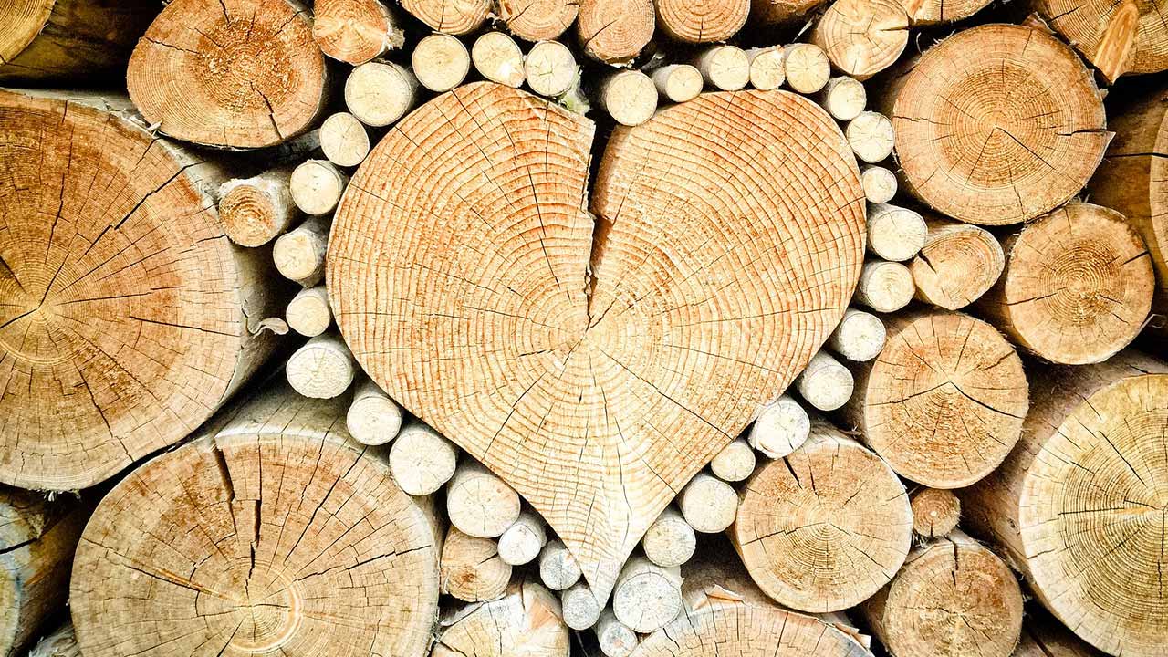 Gönlünü kaptırdığın şey...