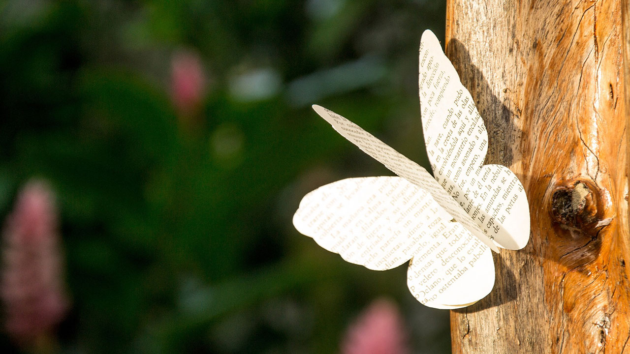 Şairden başkası mübalağa etmesin