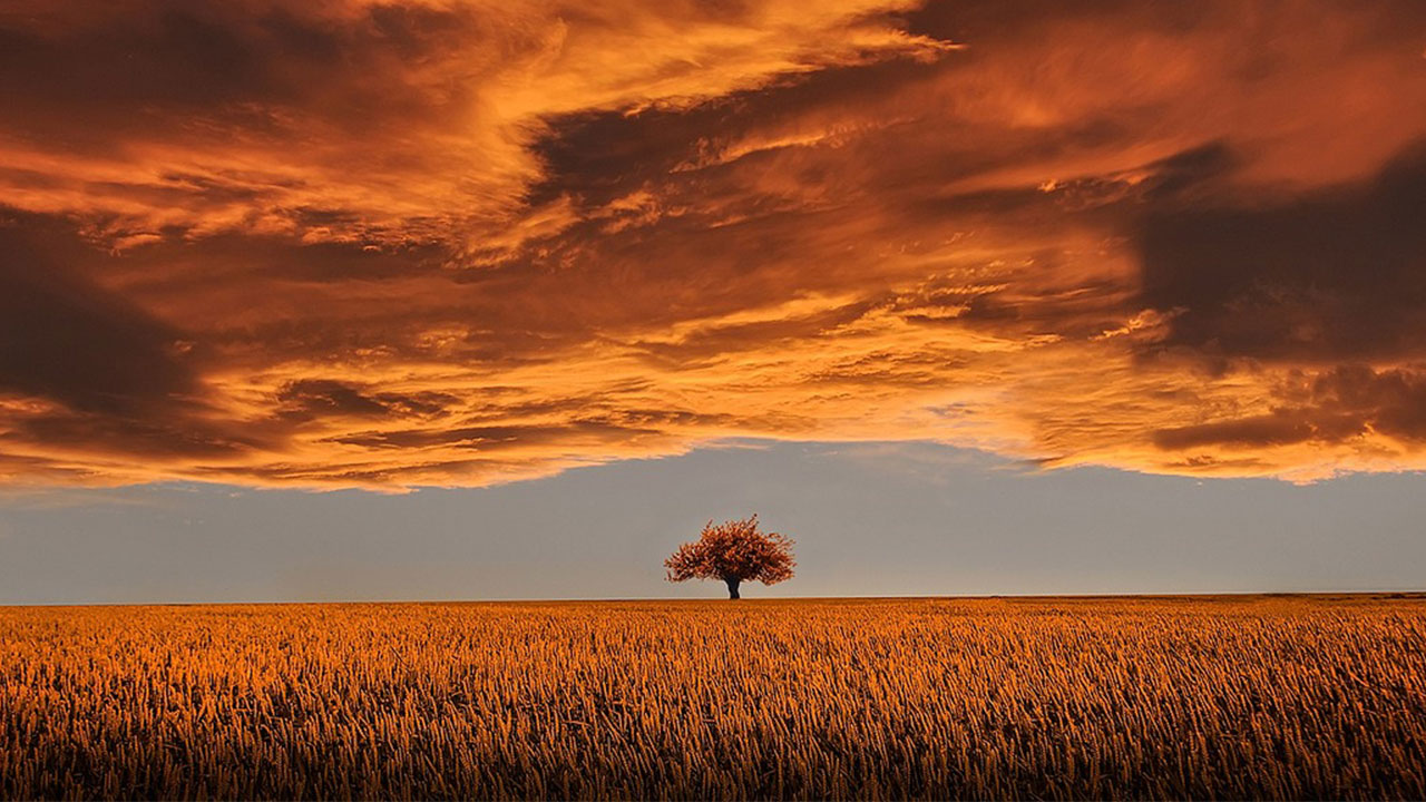 Enginliğe Giden Yolda Emeklemeler