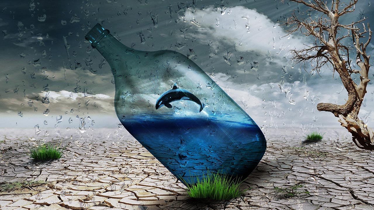 Az daha yağmasaydı B planımız var mıydı?