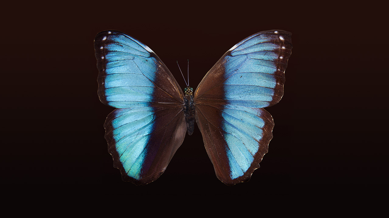 Dönüşüm, Yeni Deneyim Kazanmış Aklınla Yolculuk Yaptığında Gelir