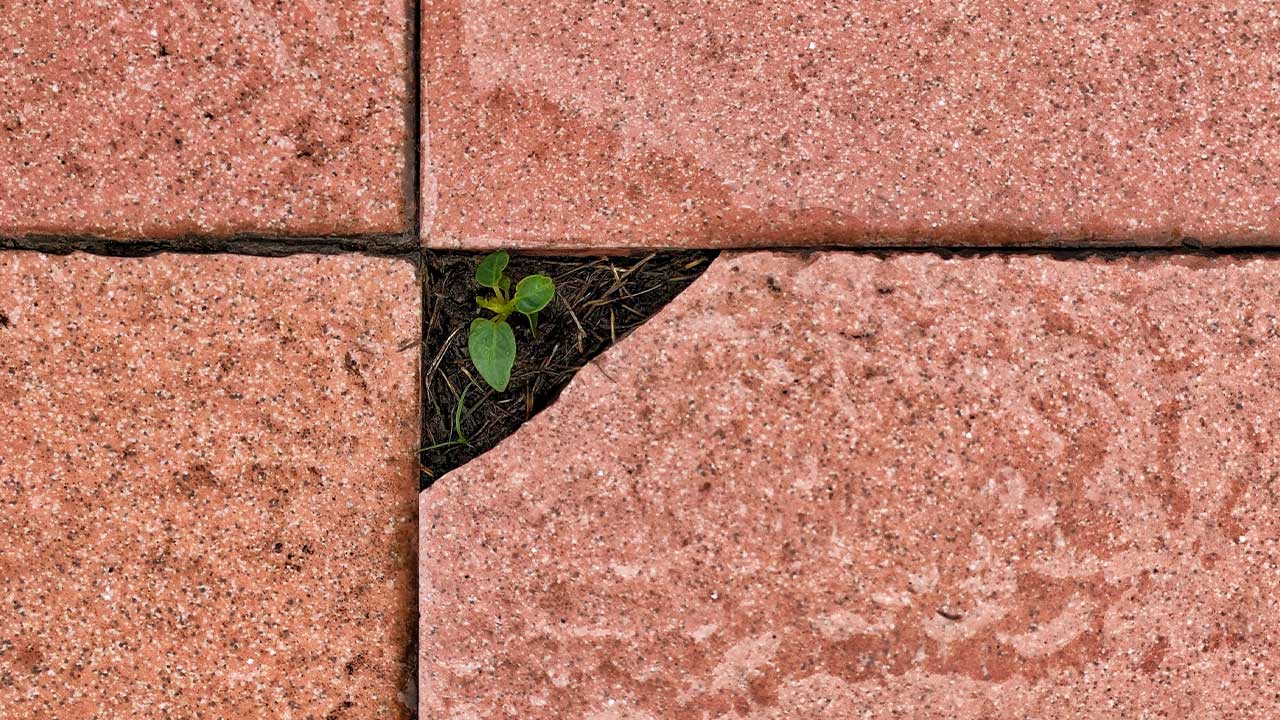 Kusursuzluğun Kusuru