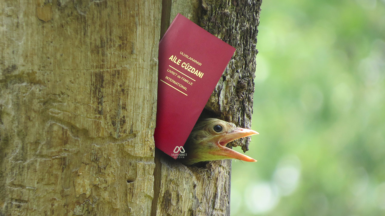 Neden Gençlerimiz 'Allah korusun' diyerek evliliği öcü gibi görsünler ki?