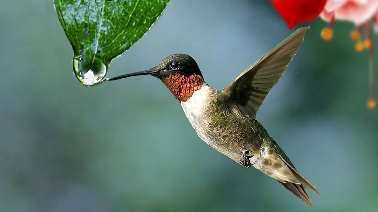 Aldığımız Her Nefeste Hayatımızı Ebedileştirmek...