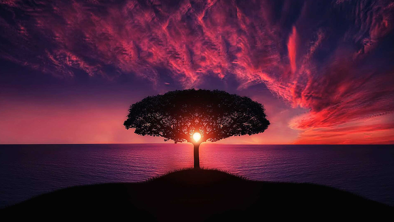 Tefekkür insanın tesadüf zincirini kırar