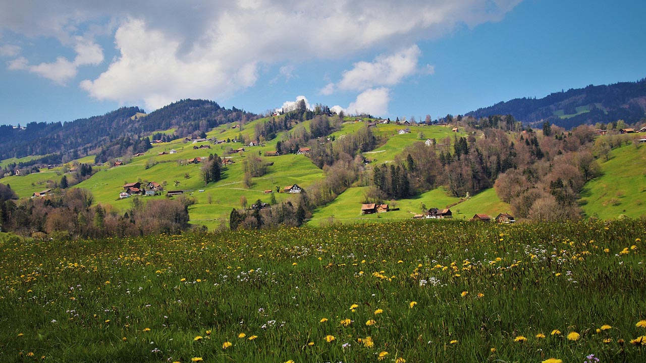 Yeşille Hicret Vakti