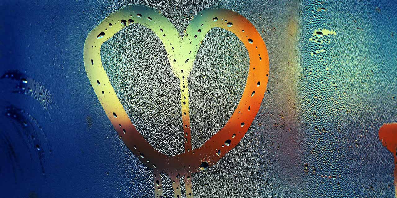 Monolog - Mahmut Kaplan