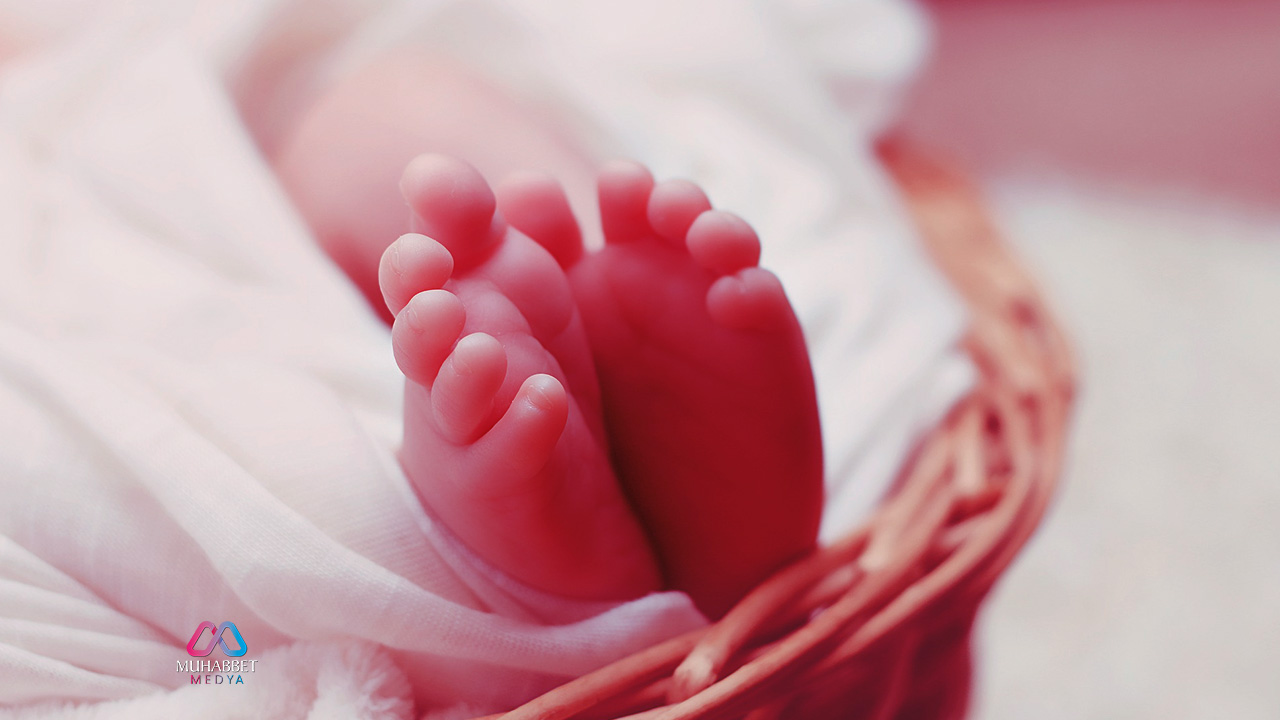 Merhamet ve Acıma Arasındaki İnce Çizgi