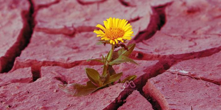 Allah'ın adaleti nasıl tecelli eder? Allah iyiliğin ve kötülüğün karşılığını nasıl verir?
