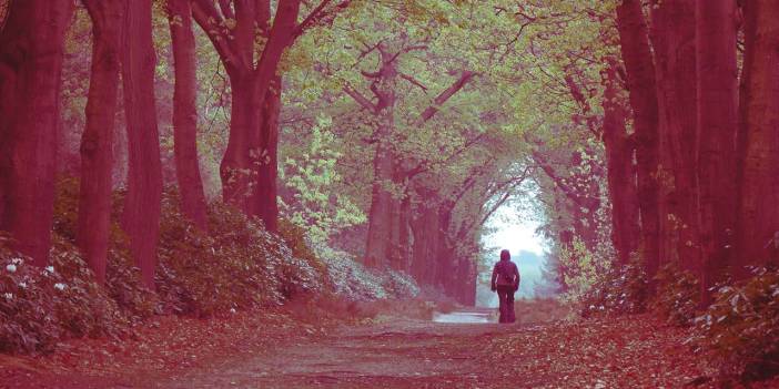 Cennete girmenin ilk şartı nedir? Cennete girmek için ne yapmalıyım?