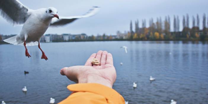 Allah’ın en çok sevdiği üç amel nedir?